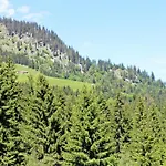 Alpengasthof Hoernlepass Hotel