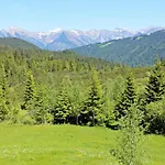 Alpengasthof Hoernlepass Hotel 3*