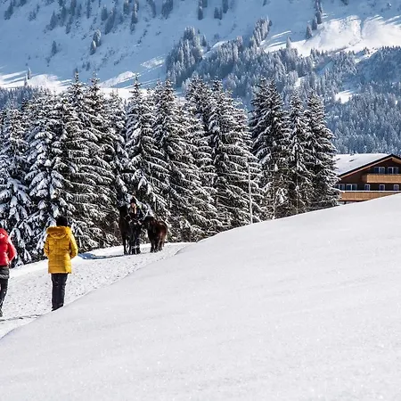 Hotel Alpengasthof Hoernlepass