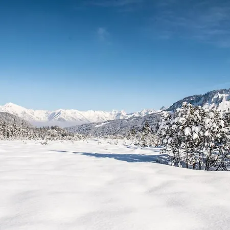 Hotel Alpengasthof Hornlepass Krauterhotel 3*