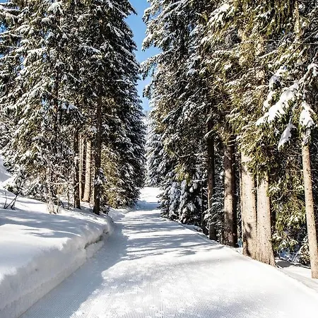 Alpengasthof Hoernlepass 酒店 里茨勒恩