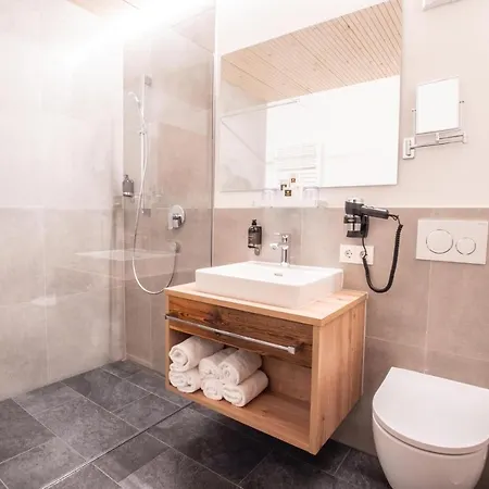 酒店 Alpengasthof Hoernlepass 3*