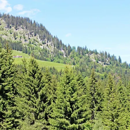 Alpengasthof Hornlepass Krauterhotel Hotel