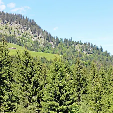 Alpengasthof Hornlepass Krauterhotel