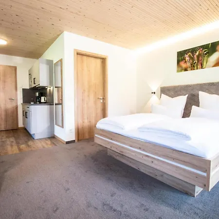 Hotel Alpengasthof Hoernlepass 3*
