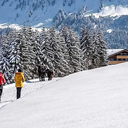 Alpengasthof Hoernlepass Gmbh Ξενοδοχείο
