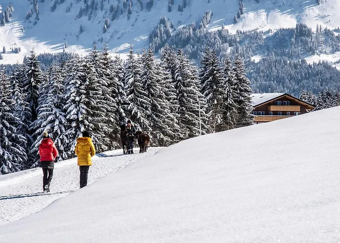 Hotel Alpengasthof Hoernlepass